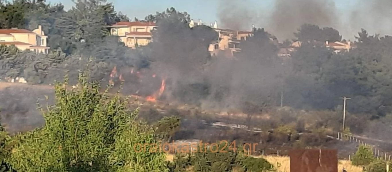 Ωραιόκαστρο: Φωτιά ξέσπασε κοντά στον οικισμό Γαλήνη